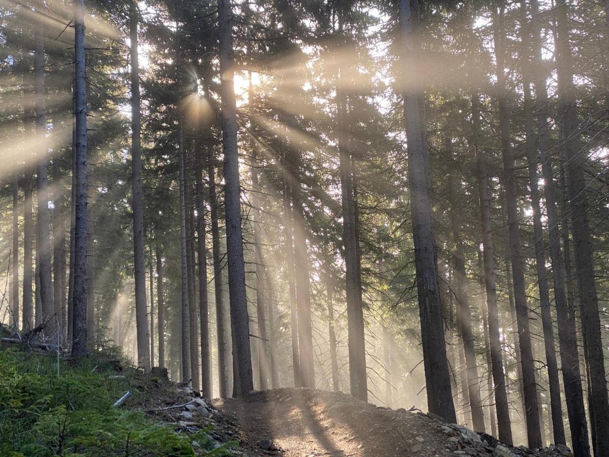 Horska Bouda Schmitke Vyhled Klinovec Villa Jáchymov Esterno foto